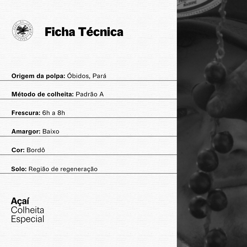 Açaí Superconcentrado | Intense Blend 5L